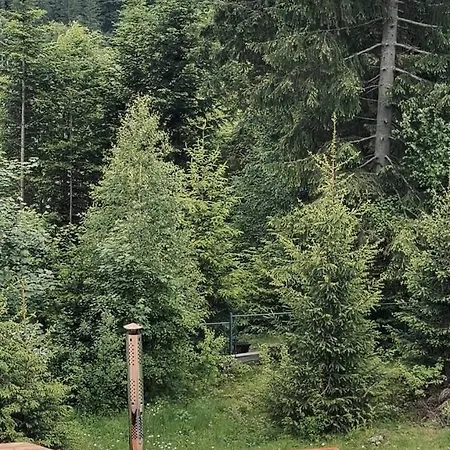 Ferienhaus ліс снів Tatariw